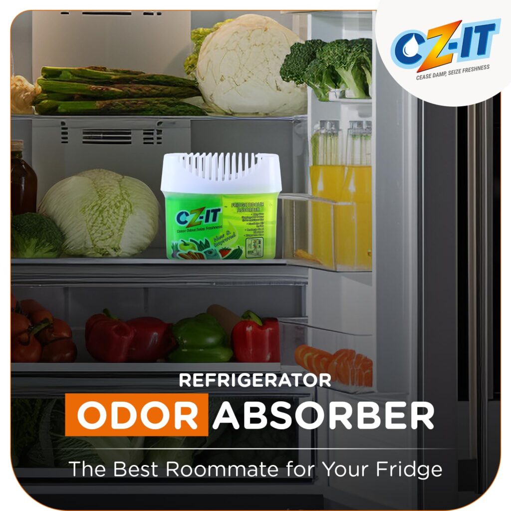 refrigerator deodorizer